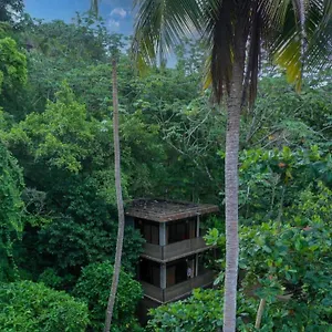 Taino Lofts Lodge